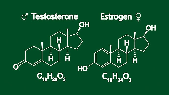 Testosterone vs. Estrogen