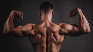 Top 5 Rear Deltoid Exercises for Men in the Gym